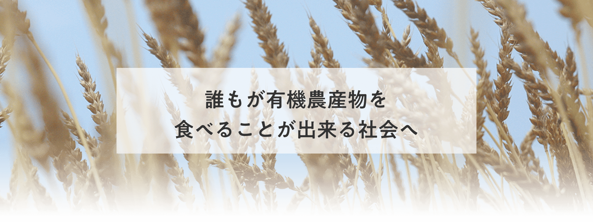 誰もが有機農産物を食べることが出来る社会へ