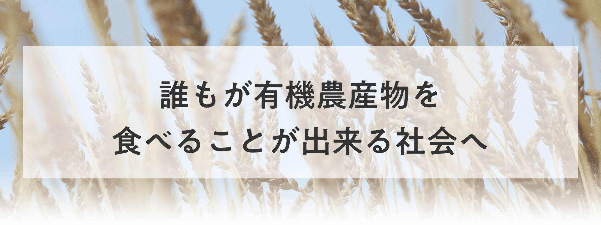 誰もが有機農産物を食べることが出来る社会へ